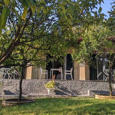 Villa Eleni - Studios Liapades Dış mekan fotoğraf