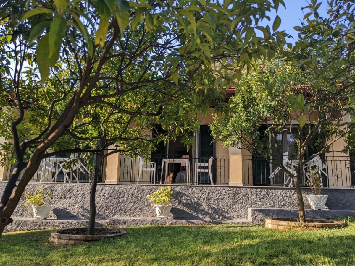 Villa Eleni - Studios Liapades Dış mekan fotoğraf
